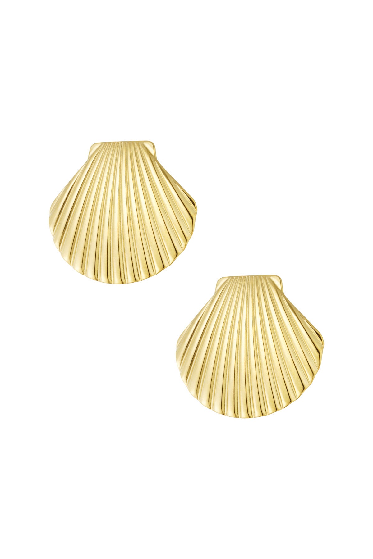 Oorknopjes Statement schelp | zilver & goud beschikbaar