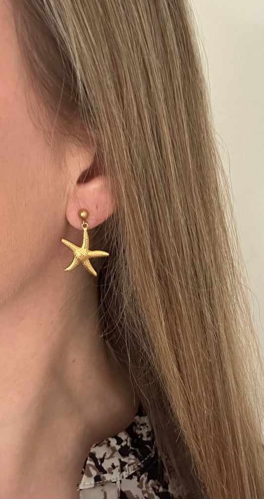 Oorknopjes Beach zeester