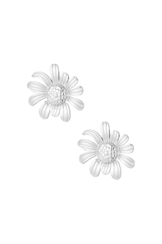Oorknopjes Daisy flower